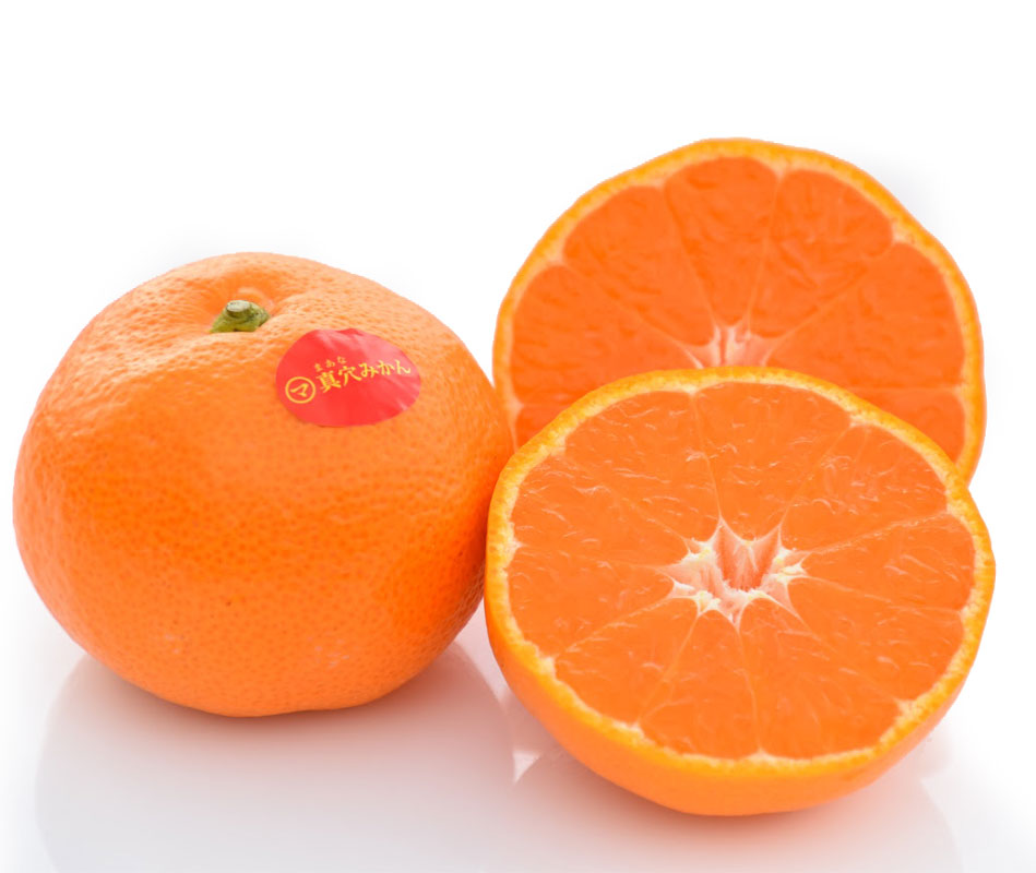 نهال نارنگی ژاپنی ایشی کاوا